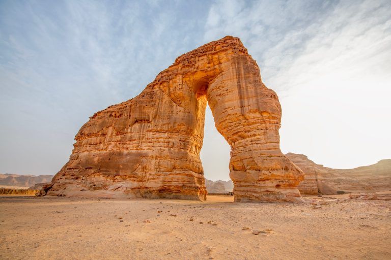 shutterstock_2369895251-scaled-768x512.jpg