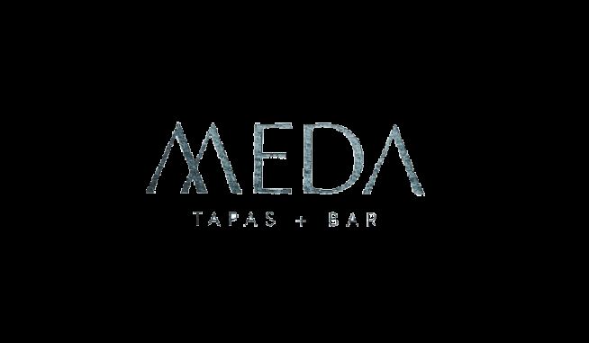 MEDA-removebg-preview.png