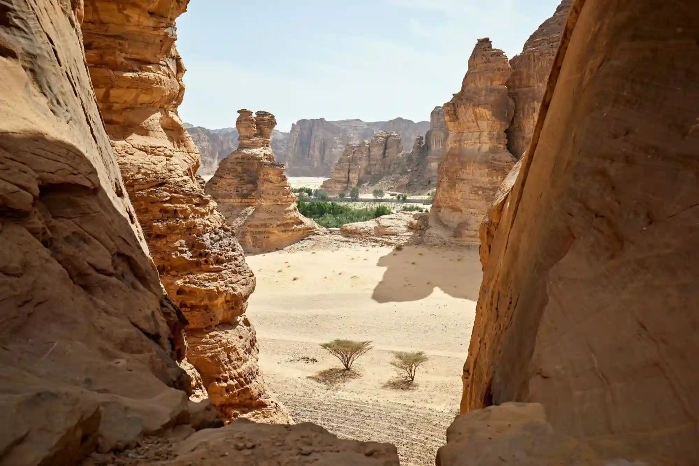 AL_ula_3 (1).webp