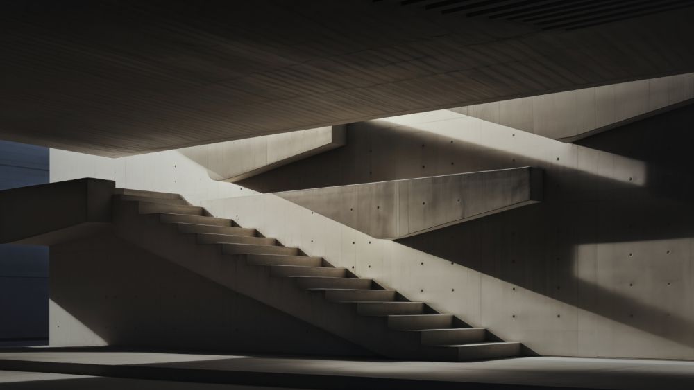 The Functional Anatomy of Reinforced Structures in Construction